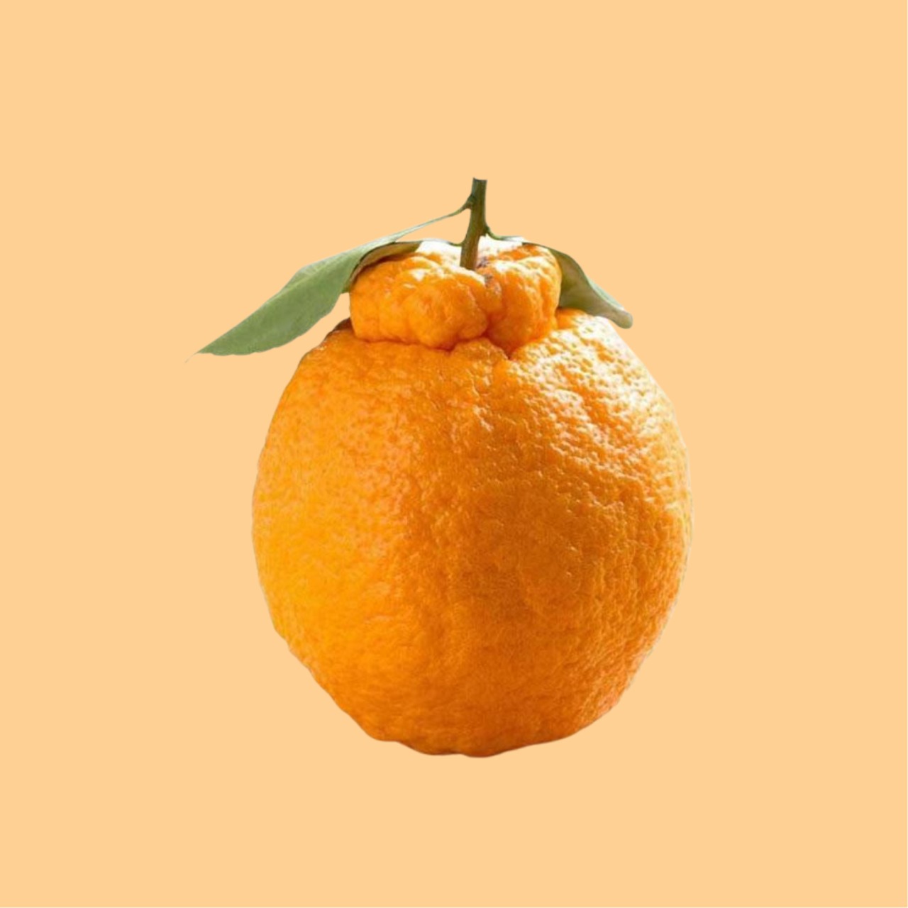 Tangerines Dekopon, Sold in Singles, 0.10 - 0.40 kg 
